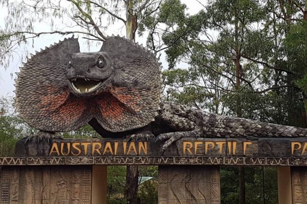 Australian-Reptile-park-2