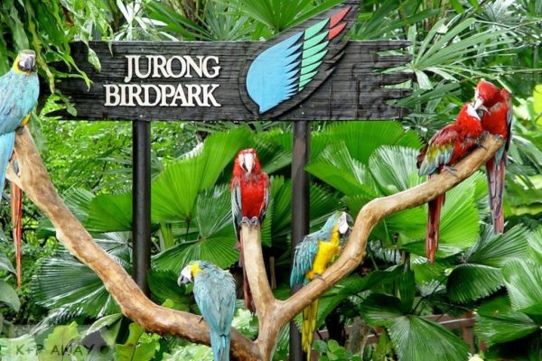 Sing-Jurong Bird Park