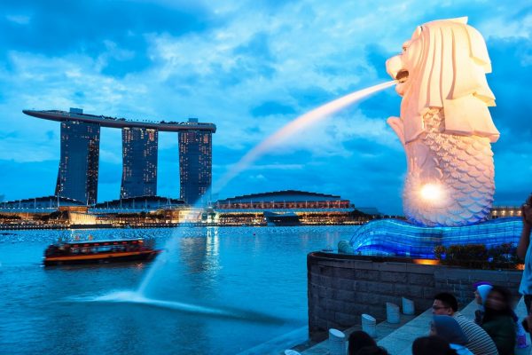 25181499 - the merlion fountain lit up at night in singapore.