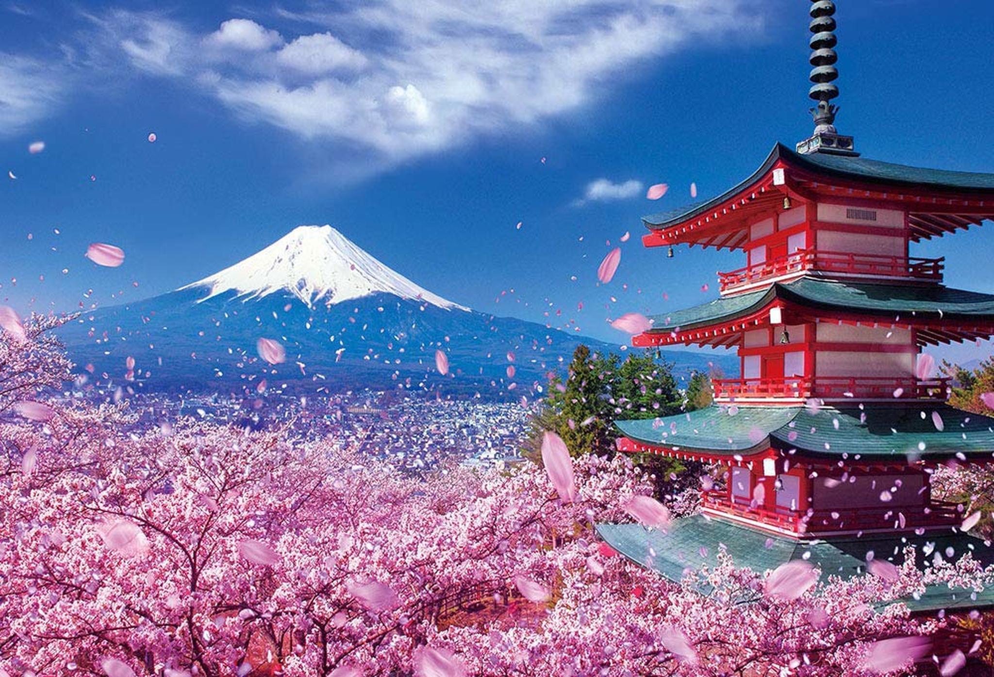 Đất nước “đẹp bất chấp thời gian” đích thị là Nhật Bản, xem ảnh hoa anh đào  nở rộ về đêm mà chỉ biết ngỡ ngàng vì quá ảo! - Netizen -